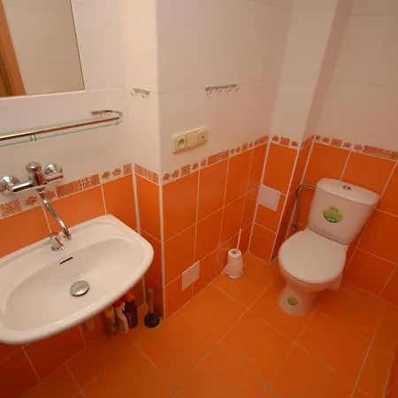 Holiday In Horni Morava 1063 Kraliky